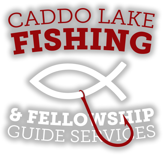 Large Logo