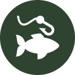 Fish and Nook Icon